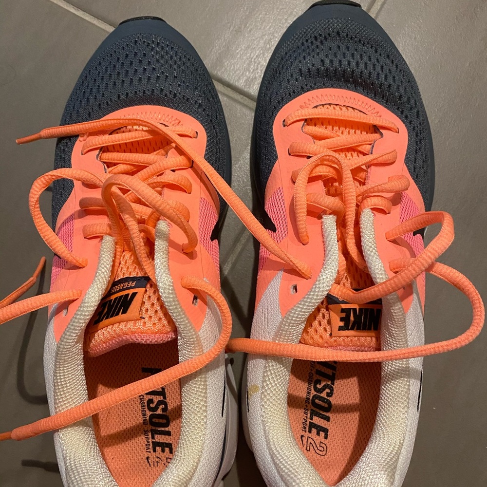 Barely Worn Nike Pegasus (women’s) Sneaker